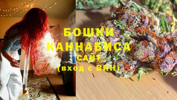 ПСИЛОЦИБИНОВЫЕ ГРИБЫ Новозыбков