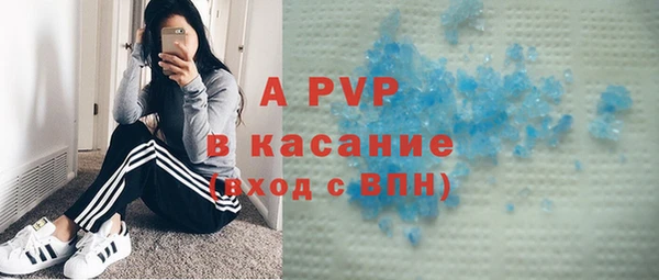 ПСИЛОЦИБИНОВЫЕ ГРИБЫ Новозыбков